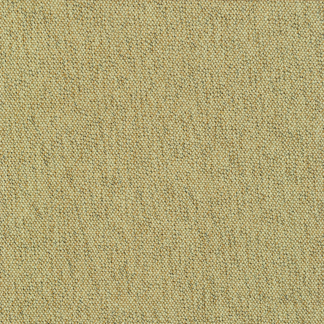Cody Praline 473301 by PKL Studio Designer Fabric - 100% Polyester India 51000 Horizontal: .000" and Vertical: .000" 55 - Swanky Fabrics -