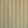 Velveteen Stripe Sand 480835 by PKL Studio Designer Fabric