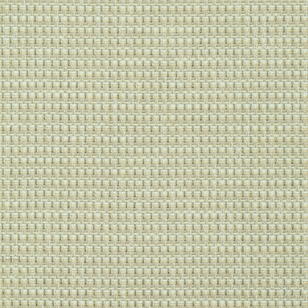 Cabana Papyrus 480916 by PKL Studio Designer Fabric - 54% Polyester 46% Cotton India 51000 Horizontal: .375" and Vertical: .375" 55 - Swanky Fabrics -