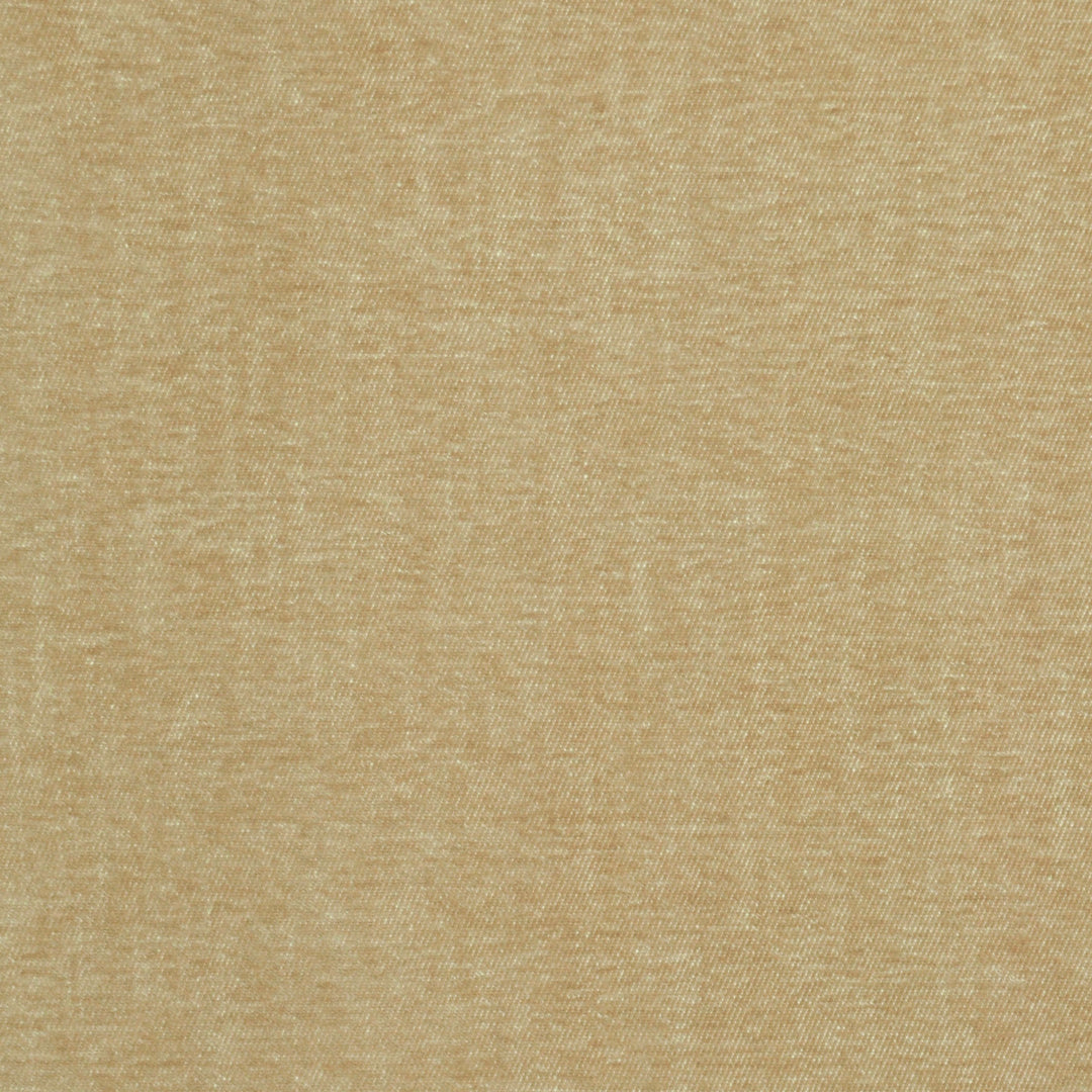 Perf Serenity Sand 480960 by PKL Studio Designer Fabric - 77% Polyester 23% Cotton India 51000 Horizontal: .000" and Vertical: .000" 54 - Swanky Fabrics -