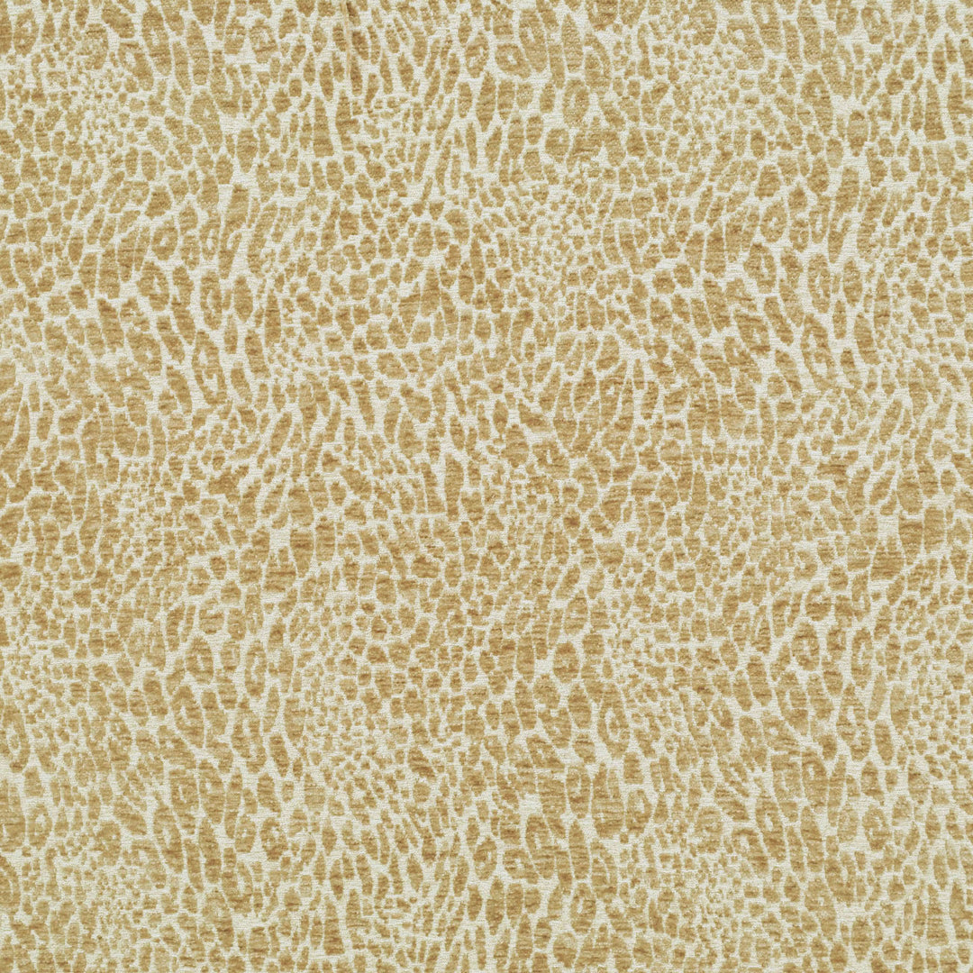 Pridelands Sand 481020 by PKL Studio Designer Fabric - 100% Polyester China 51000 Horizontal: 13.500" and Vertical: 18.500" 55 - Swanky Fabrics -