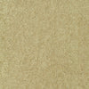 Karakul Desert 481375 by PKL Studio Designer Fabric