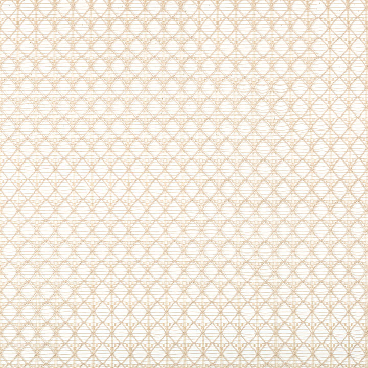 Intersecting Flax by Kravet Contract Designer Fabric POLYESTER - 100% Turkey Horizontal: 1 and Vertical: 1 109 - Swanky Fabrics -