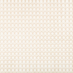 Intersecting Flax by Kravet Contract Designer Fabric