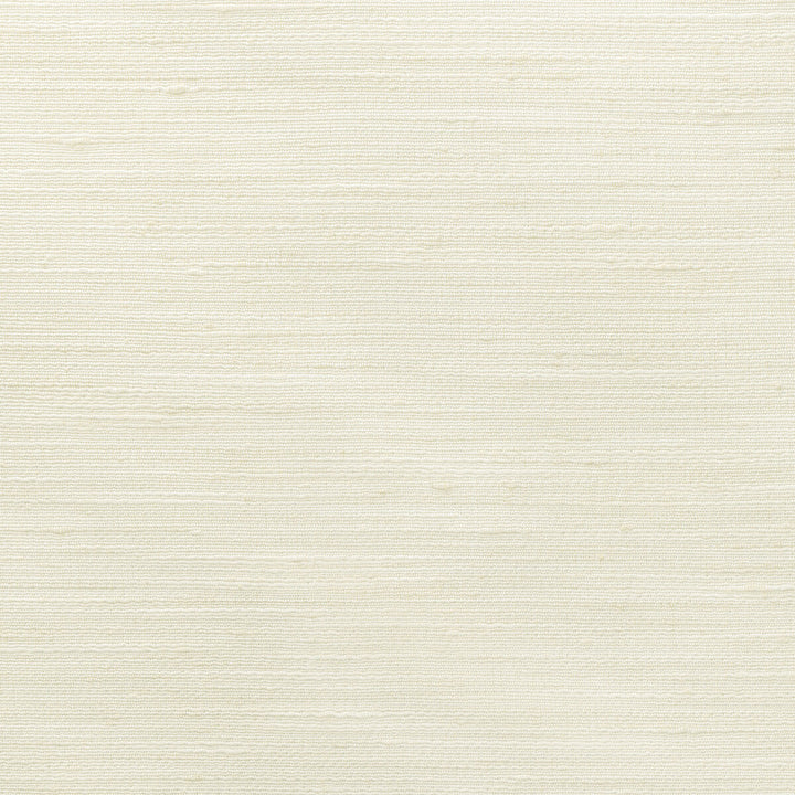 4852-1001 by Kravet Basics Designer Fabric POLYESTER - 100% India Horizontal: 0 and Vertical: 0 54 - Swanky Fabrics -