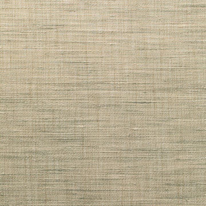 4852-116 by Kravet Basics Designer Fabric POLYESTER - 100% India Horizontal: 0 and Vertical: 0 54 - Swanky Fabrics -