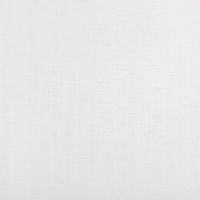 4862.101.0 by Kravet Fabric Kravet Fabric 4862.101.0Fabric POLYESTER FR - 100% Turkey </p><p>Repeat: H: 11, V: 8 118 - Fabric Carolina -