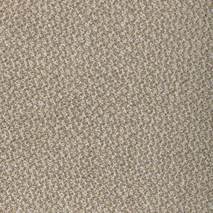 Pebbly Barley by Kravet Designer Fabric