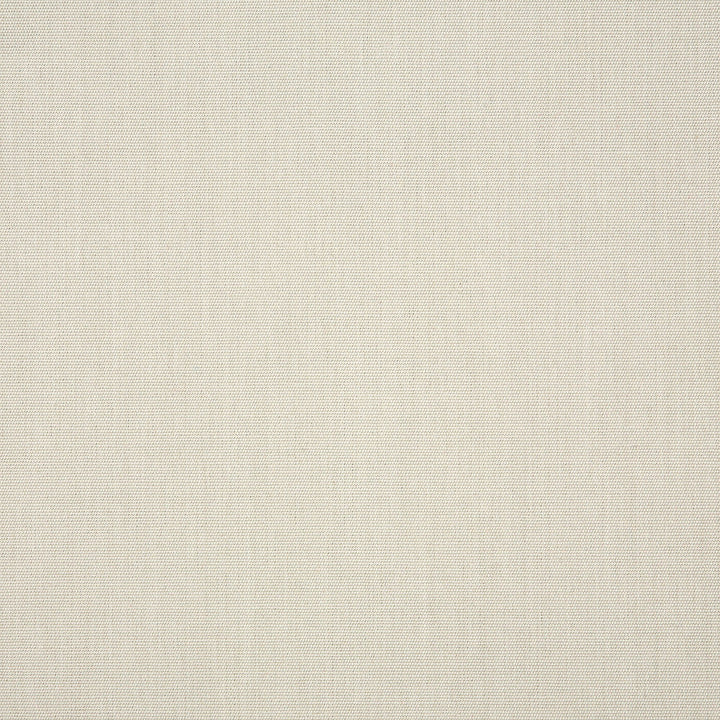 57012 Canvas Cloud by Sunbrella Designer Fabric Sunbrella® Acrylic, Sunbrella® Polyester, Sunbrella® Non-Phthalate PVC USA or Imported 5-Year Horizontal: and Vertical: 54 in. - Swanky Fabrics -