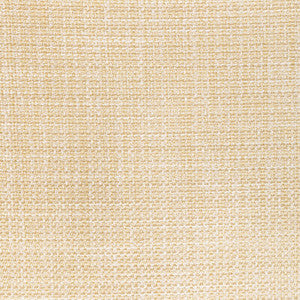 Luma Texture Desert by Kravet Designer Fabric