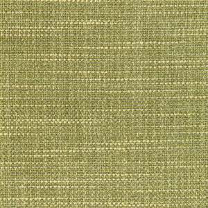 Luma Texture Cactus by Kravet Designer Fabric