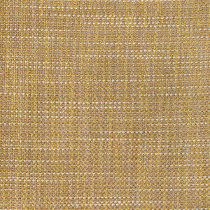 Luma Texture Butterscotch by Kravet Designer Fabric
