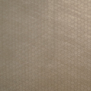 Pioneer 49 by Europatex Designer Fabric