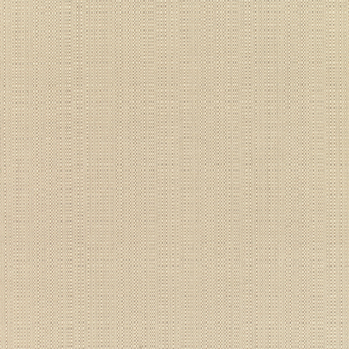 8300 Linen Champagne by Sunbrella Designer Fabric Sunbrella Elements - Linen Sunbrella® Acrylic, Sunbrella® Polyester, Sunbrella® Non-Phthalate PVC USA or Imported 5-Year Horizontal: and Vertical: 60 yd. 54 in. - Swanky Fabrics -