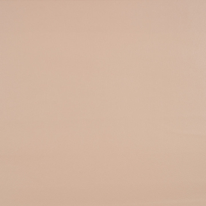 10200-0008 Capriccio Heather Beige by Sunbrella Designer Fabric Sunbrella Horizon Capriccio Marine Upholstery Sunbrella® Engineered Leather USA or Imported 5-Year, 3-Year Microbial Pink Staining Horizontal: and Vertical: 54 in. - Swanky Fabrics -