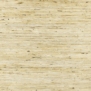Sonota Arrowroot Oatmeal 5002710 by Schumacher Designer Wallcovering