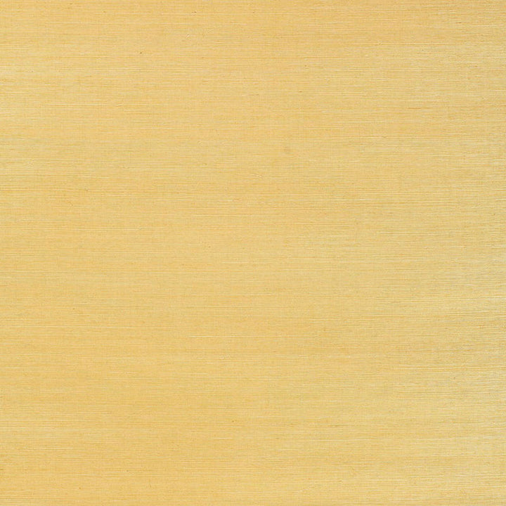 Ayame Sisal Hay 5002904 by Schumacher Designer Wallpaper NATURAL TEXTURES IV Paper 0 JAPAN </p><p>Repeat: Horizontal: and Vertical: 36 - Swanky Fabrics -