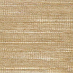 Ayame Sisal Sage 5002905 by Schumacher Designer Wallcovering