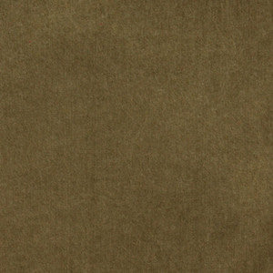 5002 Cocoa by Charlotte Designer Fabric