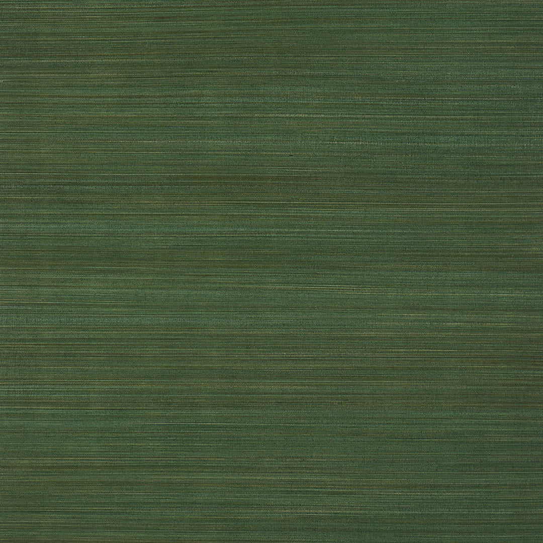 Zen Bamboo Palm 5006405 by Schumacher Designer Wallcovering