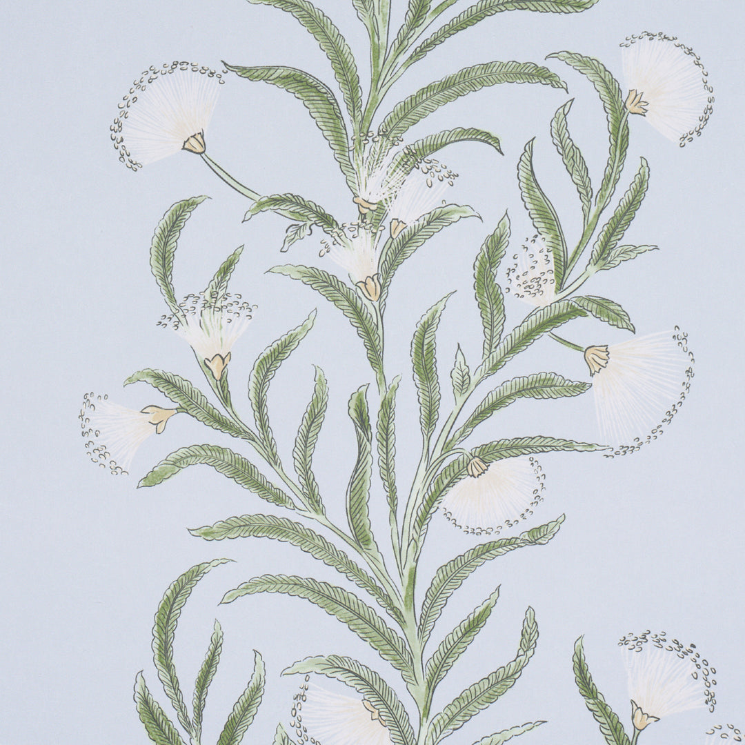 Tasmanian Mimosa Sky 5015363 Schumacher
