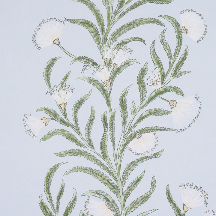 Tasmanian Mimosa Sky 5015363 Schumacher