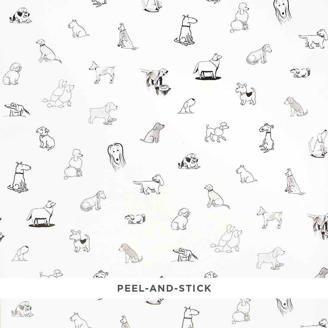 Good Dogs Everywhere Peel & Stick Black & White 5016300 by Schumacher Designer Wallcovering