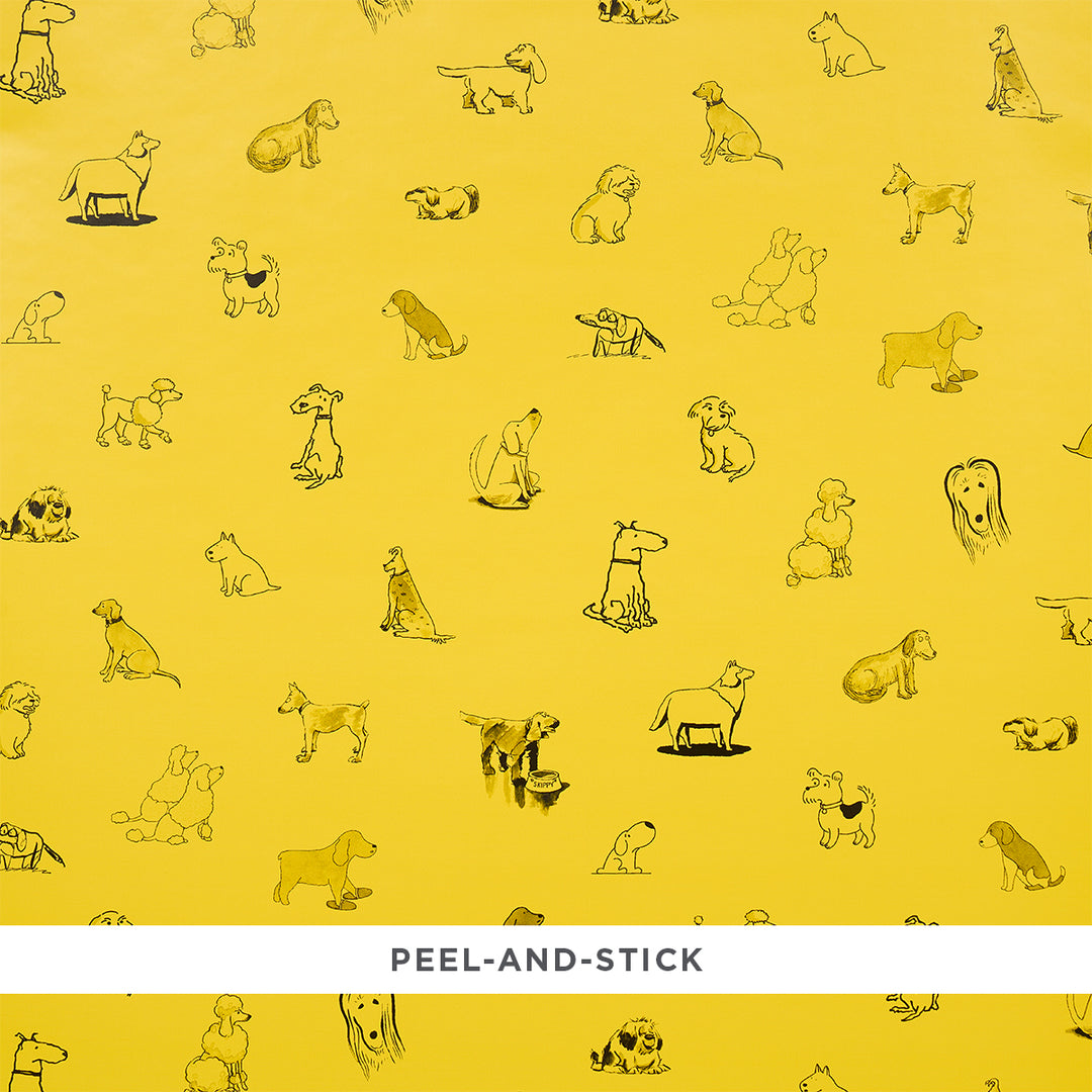 Good Dogs Everywhere Peel & Stick Taxi-Cab Yellow 5016301 by Schumacher Designer Wallcovering