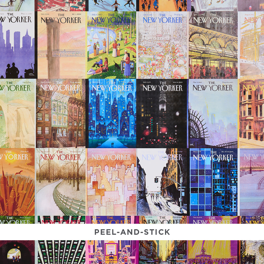 The New Yorker City-View Covers Peel & Stick Multicolor 5016330 by Schumacher Designer Wallcovering