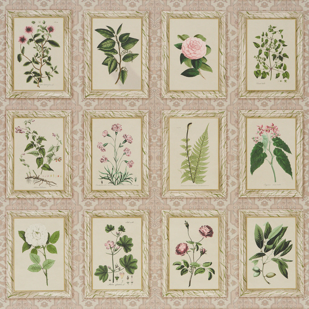 Garden'S Trust Blushed Oyster 5018310 by Schumacher Designer Wallcovering