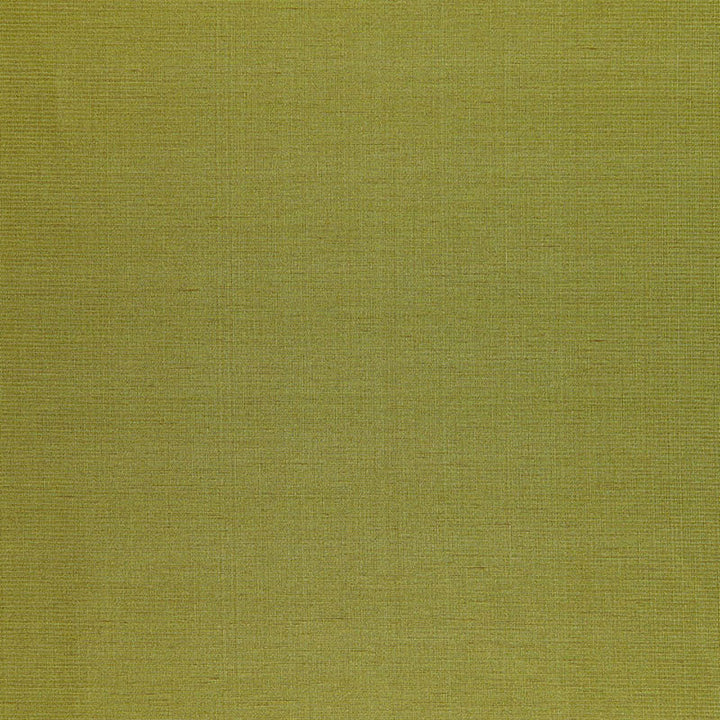 Poiret Satin Vert 50446 by Schumacher Fabric Schumacher Fabric Poiret Satin Vert 50446Fabric SILK 58% INDIA </p><p>Repeat: H: , V: 55 - Fabric Carolina -