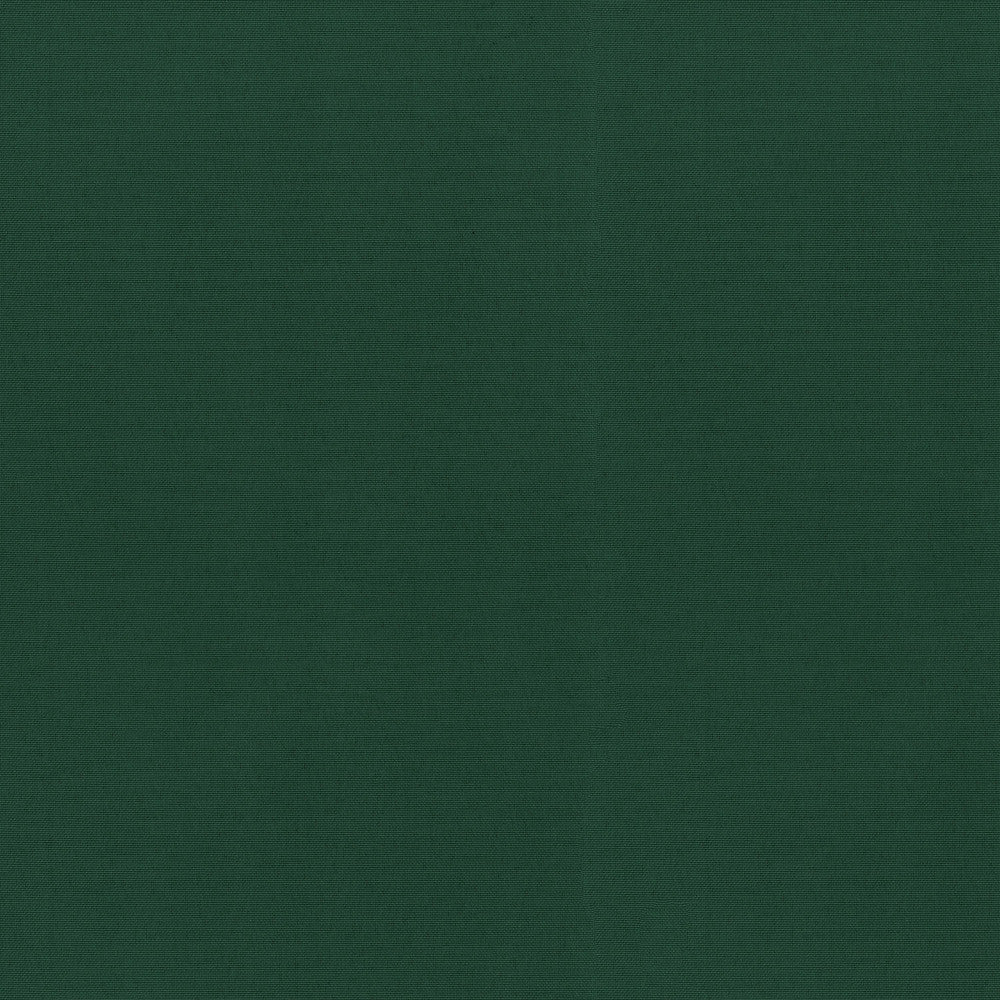 Radiance Hunter 505130 by PKL Studio Outdoor Designer Fabric - 100% Spun Polyester Duck USA 51000 Horizontal: 0 and Vertical: 0 54 - Swanky Fabrics -