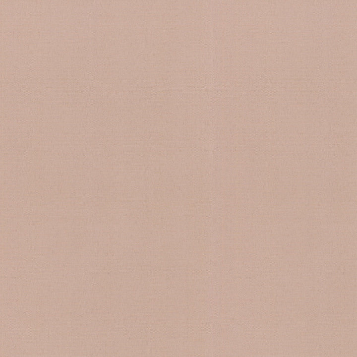 Radiance Ballet 505140 by PKL Studio Outdoor Designer Fabric - 100% Spun Polyester Duck USA 51000 Horizontal: 0 and Vertical: 0 54 - Swanky Fabrics -