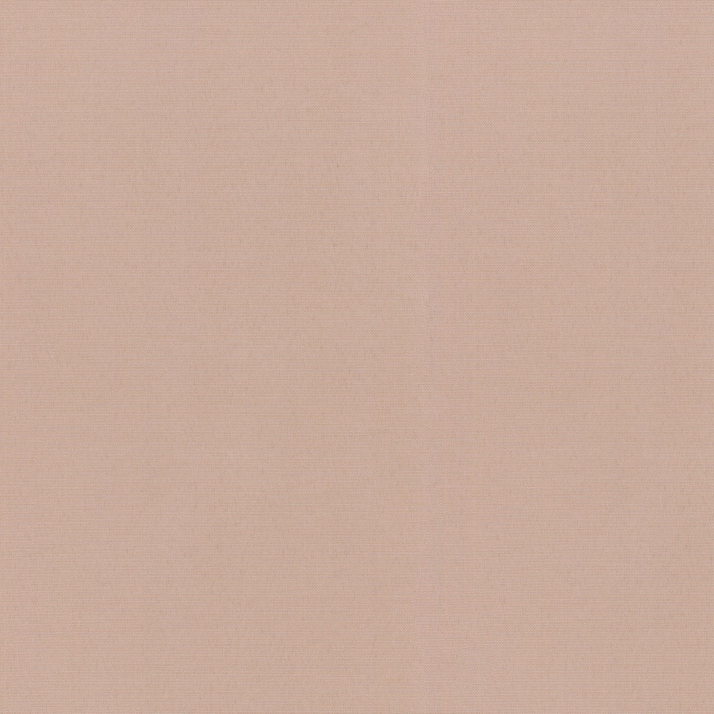 Od Radiance Swa Ballet 505140 by PKL Studio Designer Fabric OD RADIANCE 100% Spun Polyester Duck U.S.A. Wyzenbeek 51,000 Horizontal: 0.00" and Vertical: 0.00" 54" - Swanky Fabrics -