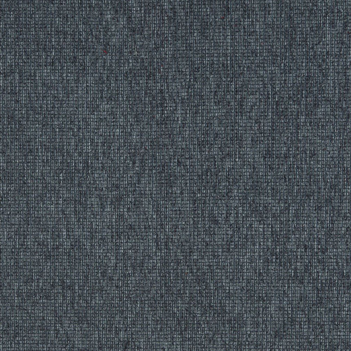 5096 Ocean by Charlotte Designer Fabric Ring Book Page #39 100% Woven Polyester Asia Exceeds 90,000 Wyzenbeek Rubs (Heavy Duty) No Repeat 54 Inches - Swanky Fabrics -