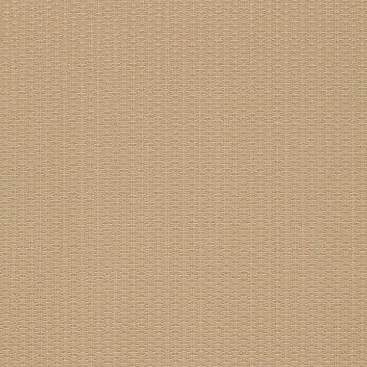 Cellini Texture Beige 51457 by Schumacher Designer Fabric OPULENT TEXTURES POLYESTER 44% VISCOSE 42% ITALY MARTINDALE 19,000 </p><p>Repeat: Horizontal: 1/2" (1CM) and Vertical: 1/4" (1CM) 55.625 - Swanky Fabrics -