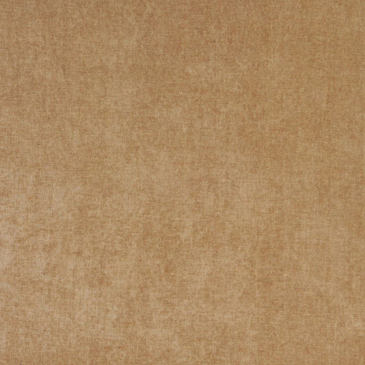 5153 Camel by Charlotte Designer Fabric Ring Book Page #41 100% Woven Polyester Asia Exceeds 130,000 Wyzenbeek Rubs (Heavy Duty) No Repeat 54 Inches - Swanky Fabrics -