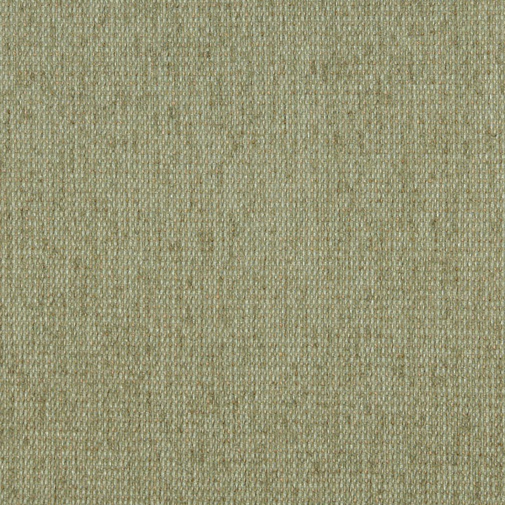 5170 Willow by Charlotte Designer Fabric Ring Book Page #38 & 15A 100% Woven Polyester Asia Exceeds 240,000 Wyzenbeek Rubs (Heavy Duty) </p><p>Repeat: 54 Inches - Swanky Fabrics -