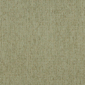 5170 Willow by Charlotte Designer Fabric