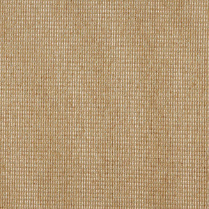 5172 Seagrass by Charlotte Designer Fabric