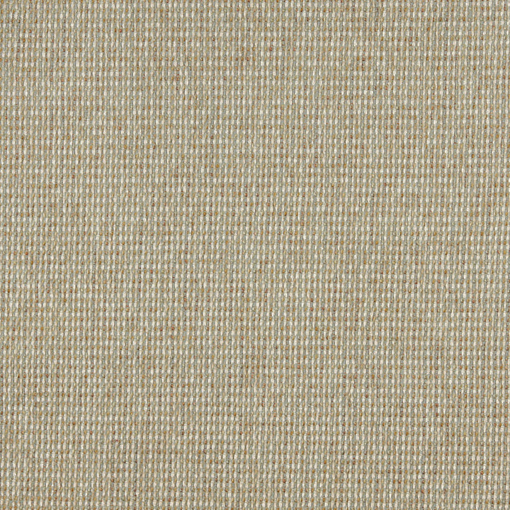 5174 Celadon by Charlotte Designer Fabric Ring Book Page #38 100% Woven Polyester Asia Exceeds 110,000 Wyzenbeek Rubs (Heavy Duty) No Repeat 54 Inches - Swanky Fabrics -