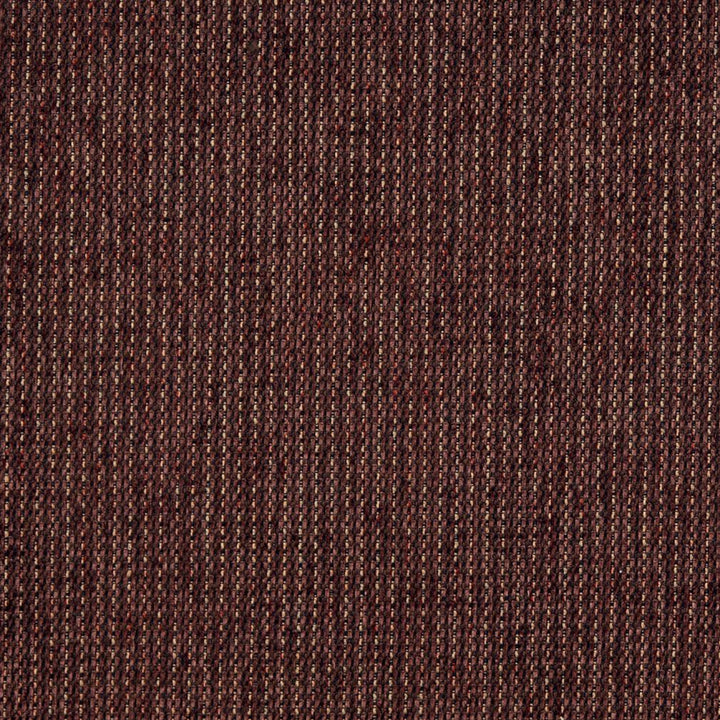5175 Sable by Charlotte Designer Fabric Ring Book Page #38 100% Woven Polyester Asia Exceeds 110,000 Wyzenbeek Rubs (Heavy Duty) No Repeat 54 Inches - Swanky Fabrics -