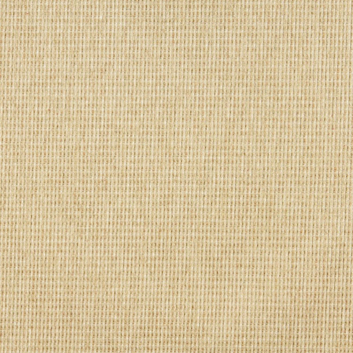5176 Parfait by Charlotte Designer Fabric Ring Book Page #38 100% Woven Polyester Asia Exceeds 110,000 Wyzenbeek Rubs (Heavy Duty) No Repeat 54 Inches - Swanky Fabrics -