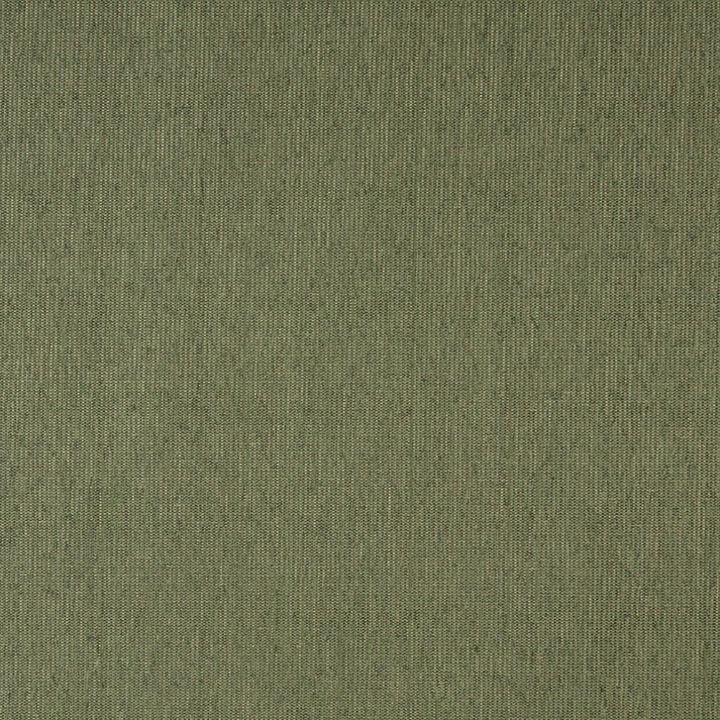 5218 Willow by Charlotte Designer Fabric Decorative Durables IX 78% Olefin, 22% Polyester Made In USA Exceeds 100,000 Wyzenbeek Rubs (Heavy Duty) </p><p>Repeat: 54 Inches - Swanky Fabrics -