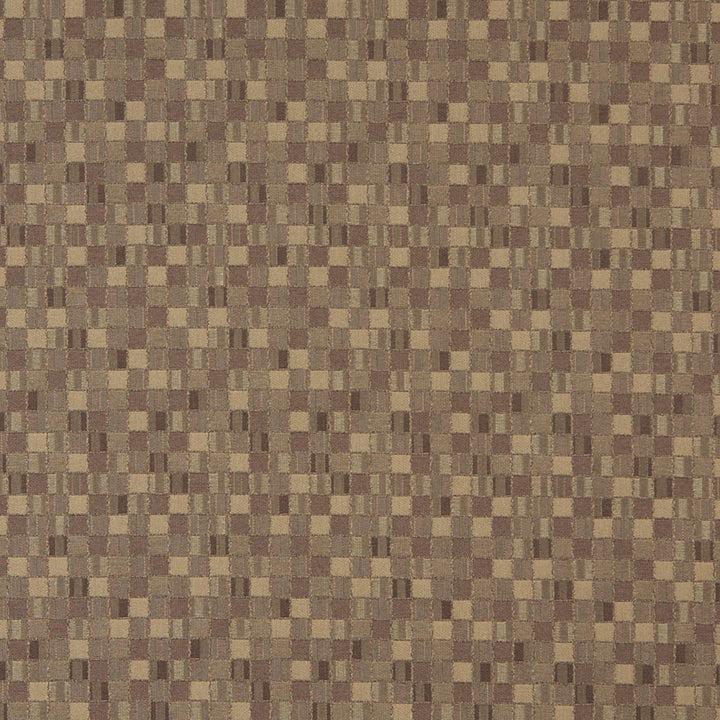 5251 Dune by Charlotte Designer Fabric Decorative Durables IX 100% Woven Polyester Made In USA Exceeds 100,000 Wyzenbeek Rubs (Heavy Duty) Horizontal: 4.5" x Vertical: 4.5" 54 Inches - Swanky Fabrics -