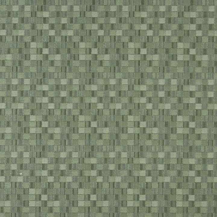 5259 Aloe by Charlotte Designer Fabric Decorative Durables IX 100% Woven Polyester Made In USA Exceeds 100,000 Wyzenbeek Rubs (Heavy Duty) Horizontal: 4.5" x Vertical: 4.5" 54 Inches - Swanky Fabrics -