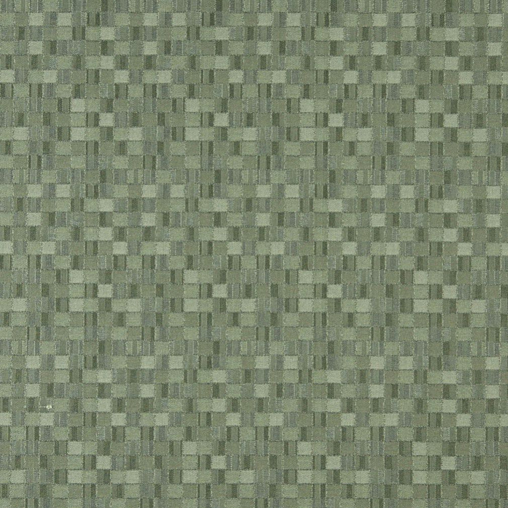 5259 Aloe by Charlotte Designer Fabric Decorative Durables IX 100% Woven Polyester Made In USA Exceeds 100,000 Wyzenbeek Rubs (Heavy Duty) Horizontal: 4.5" x Vertical: 4.5" 54 Inches - Swanky Fabrics -