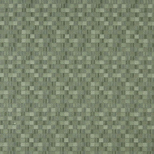 5259 Aloe by Charlotte Designer Fabric