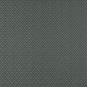 5264 Sterling by Charlotte Designer Fabric