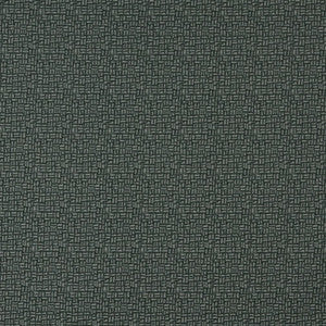5266 Granite by Charlotte Designer Fabric